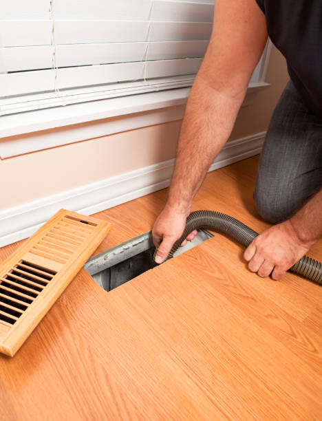 Best Affordable Duct Cleaning Services  in Wilton Manors, FL